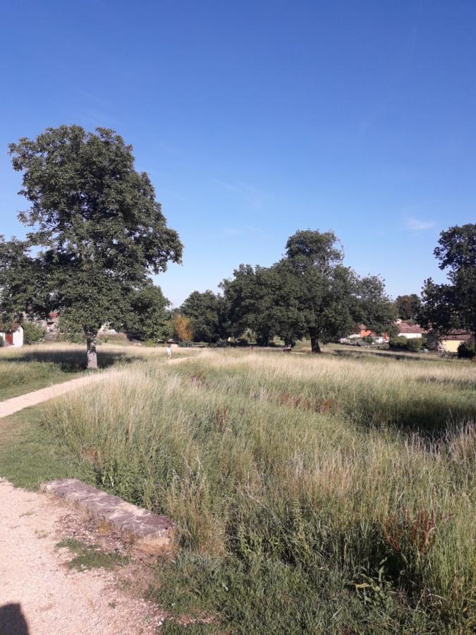 Apartamento Les Saugeys Mâcon Exterior foto